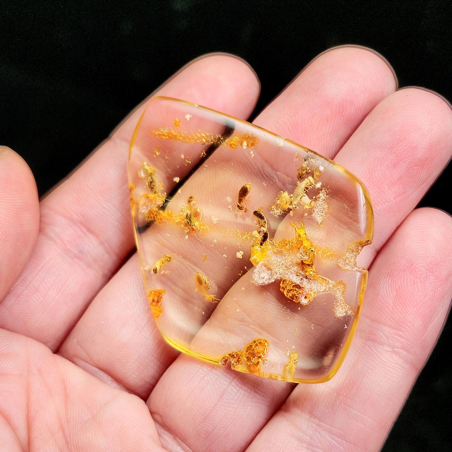 MOVING Enhydro AMBER with Bugs 5.7g