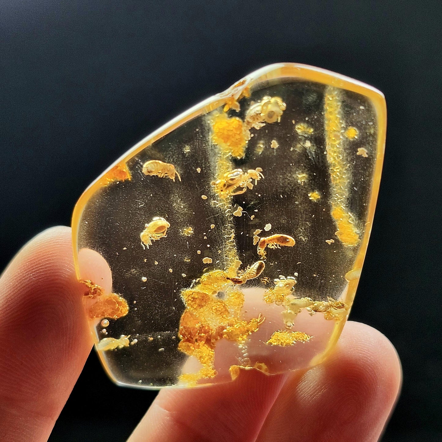 MOVING Enhydro AMBER with Bugs 5.7g