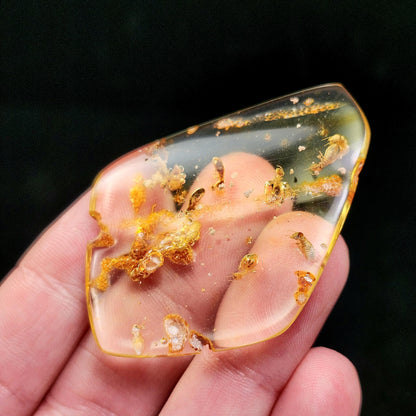 MOVING Enhydro AMBER with Bugs 5.7g