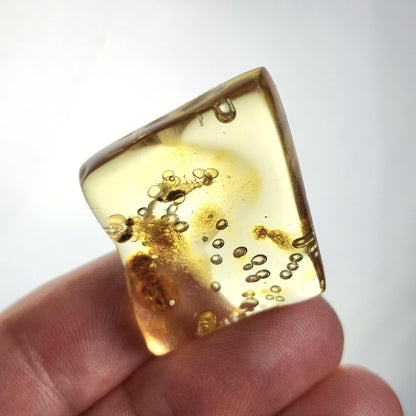 MOVING Enhydro AMBER with Bugs 3.7g