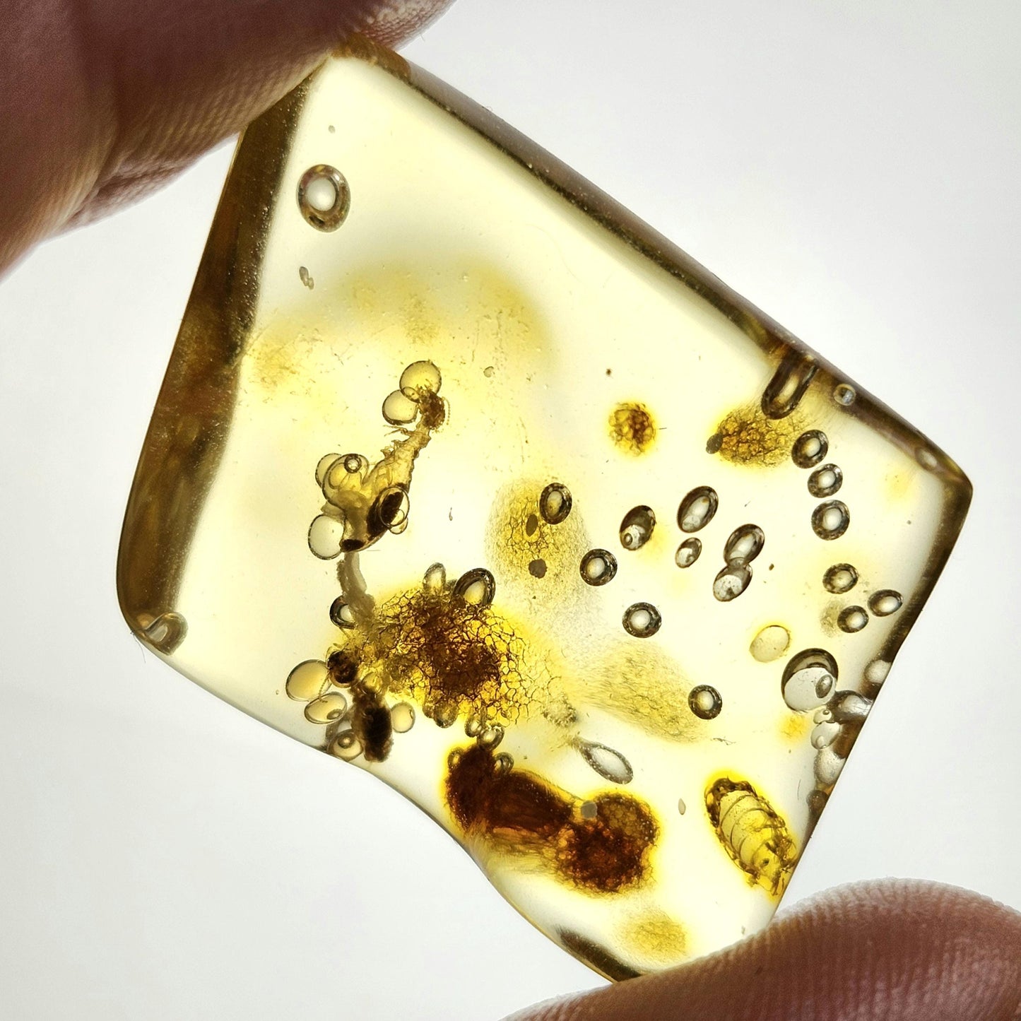 MOVING Enhydro AMBER with Bugs 3.7g