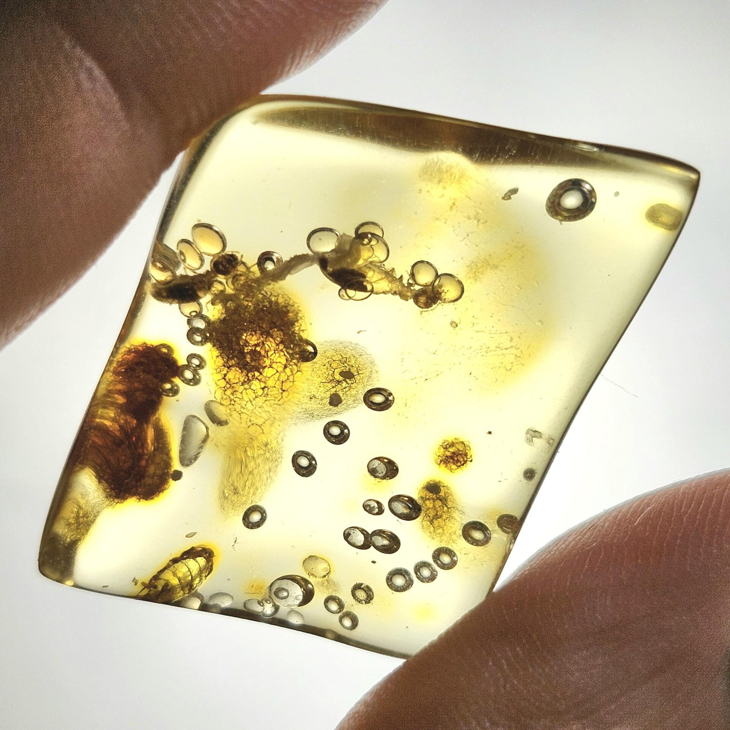 MOVING Enhydro AMBER with Bugs 3.7g