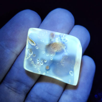 MOVING Enhydro AMBER with Bugs 3.7g