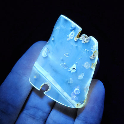 MOVING Enhydro AMBER with Bugs 8g