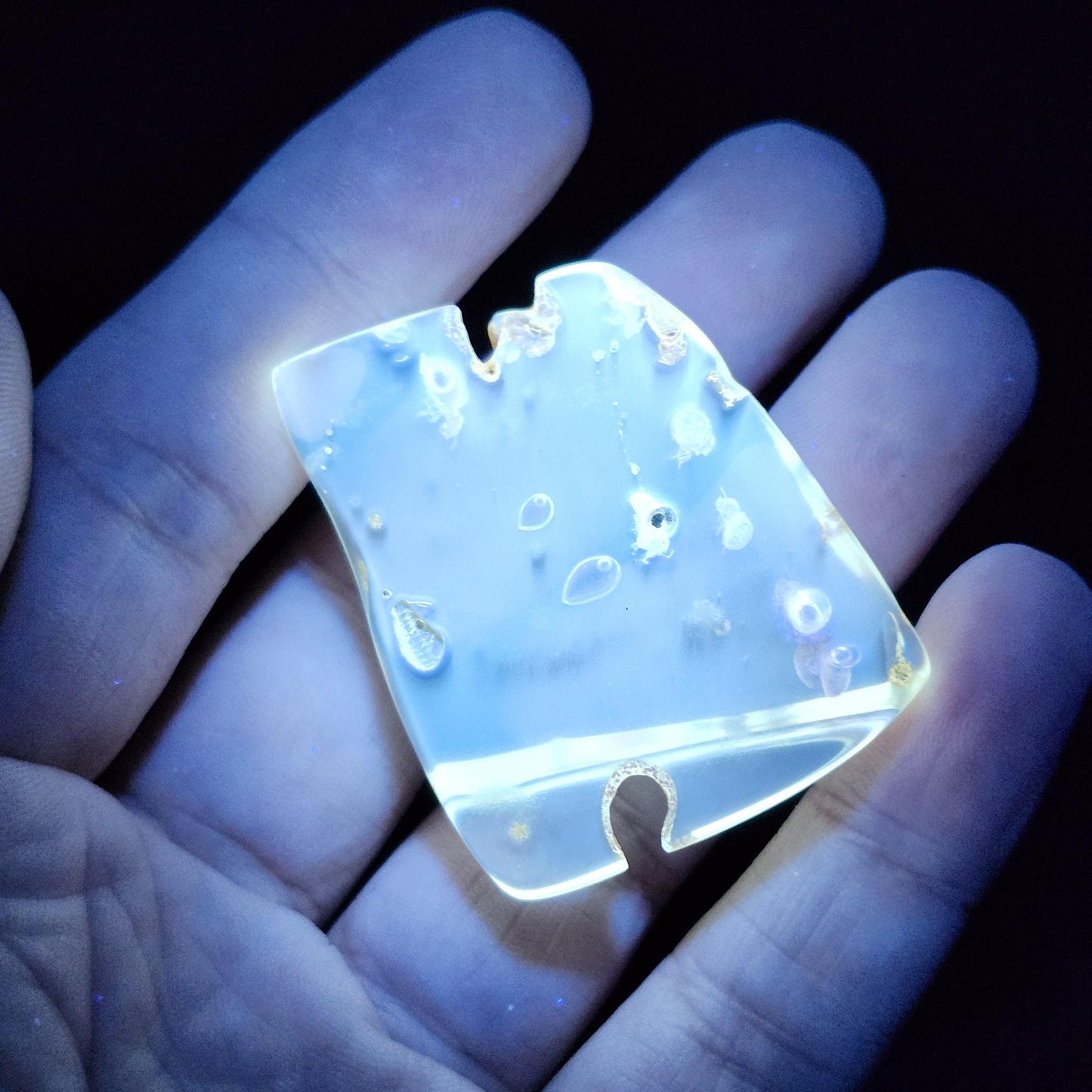 MOVING Enhydro AMBER with Bugs 8g