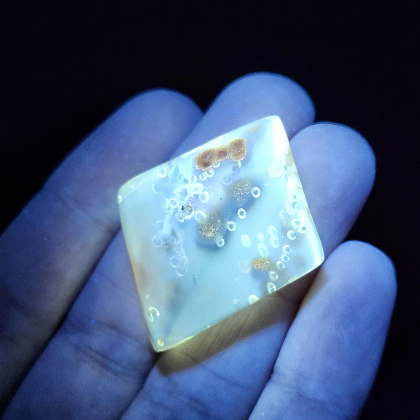 MOVING Enhydro AMBER with Bugs 3.7g