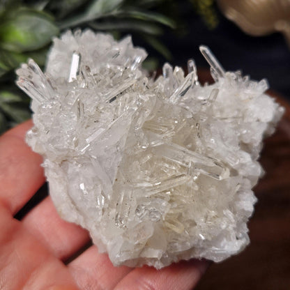 Lemurian Quartz Cluster 205g