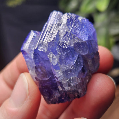 HUGE Tanzanite Crystal with Rainbows 30.46g