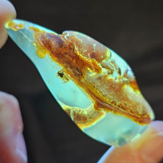 Amber with Insects, 10.6g Polished Amber from Colombia