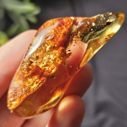 Amber with Insects, 10.6g Polished Amber from Colombia