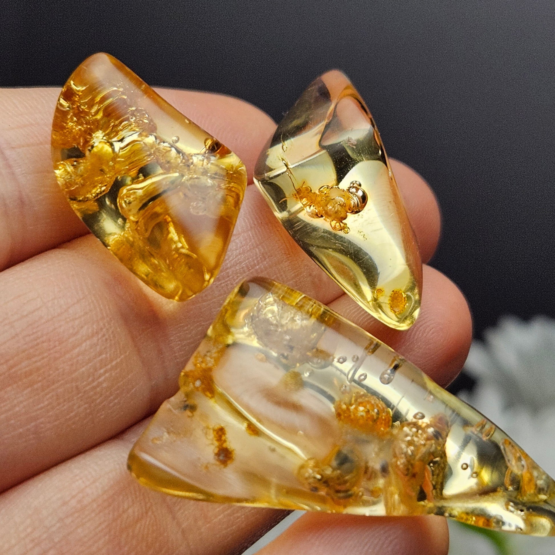 May include: Three pieces of amber with inclusions. The amber is a light yellow color and is transparent. The inclusions are small and dark brown. The amber is shaped like a triangle, a rectangle, and a teardrop.