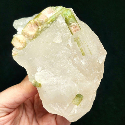 Watermelon Tourmaline & Quartz Crystal 389g