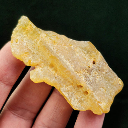 Natural Amber Specimen
