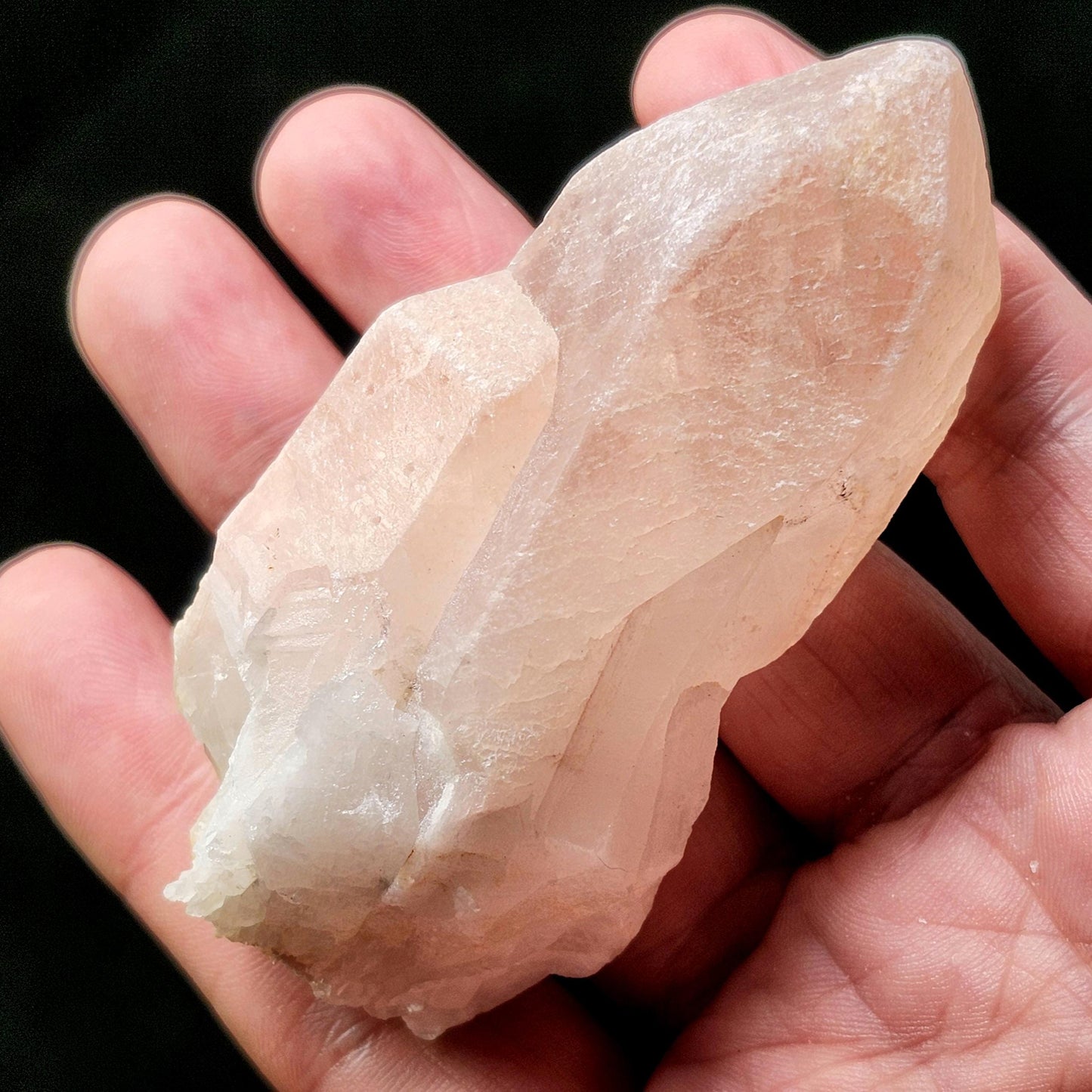 Dreamsicle Pink Lemurian Quartz Crystal (89g)