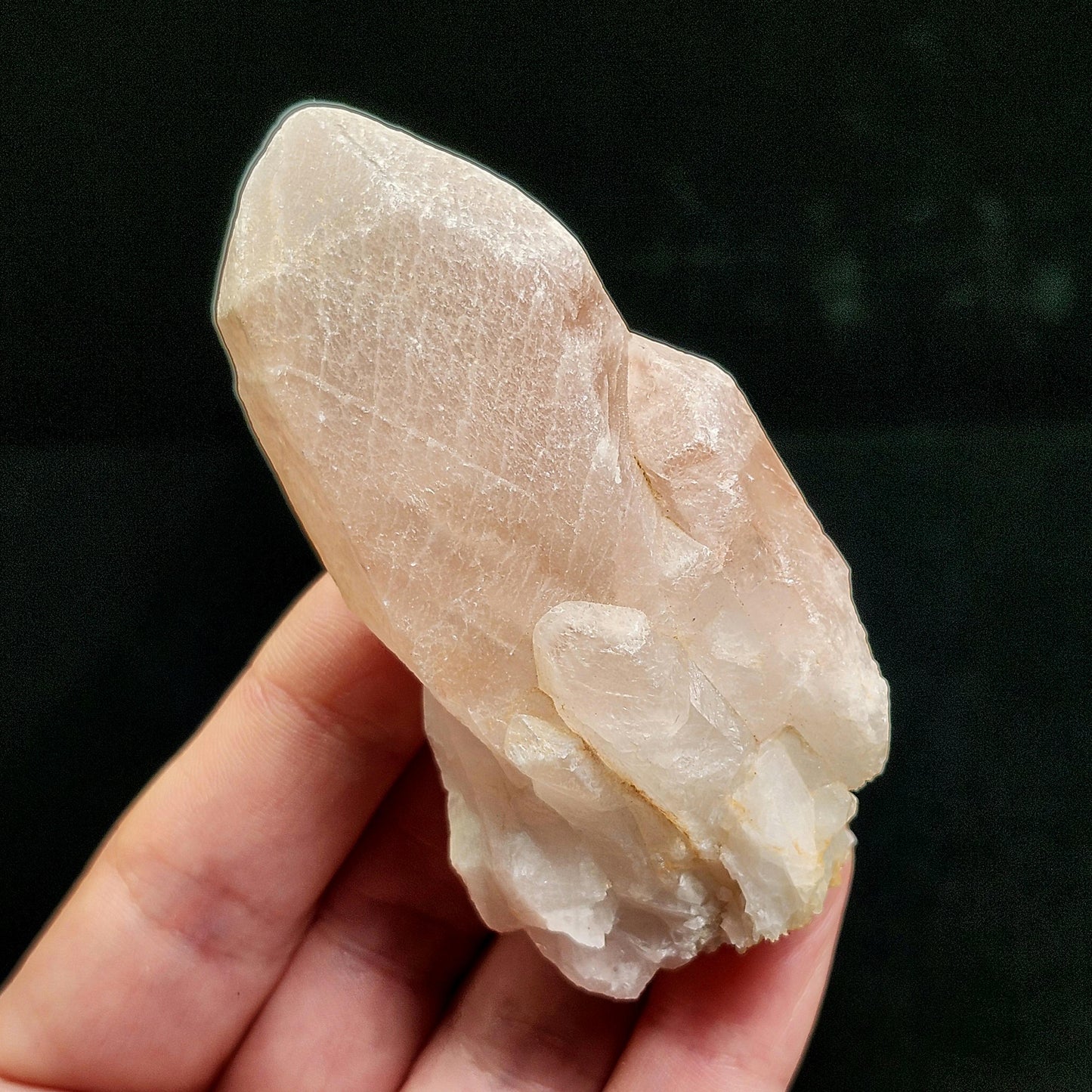 Dreamsicle Pink Lemurian Quartz Crystal (89g)