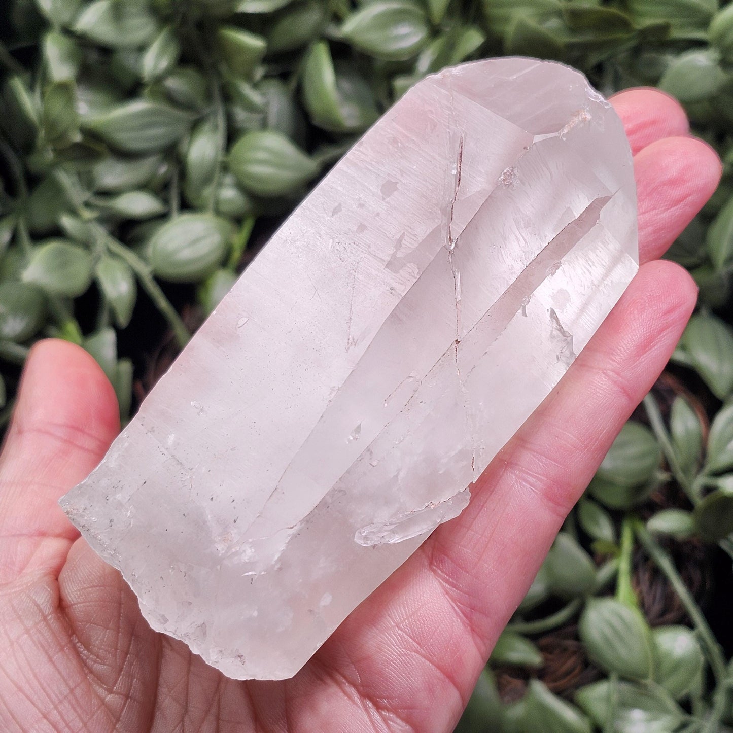 Lemurian Quartz Crystal 254g