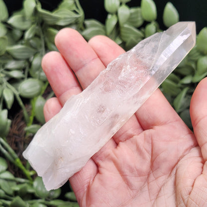 Lemurian Quartz Crystal 110g