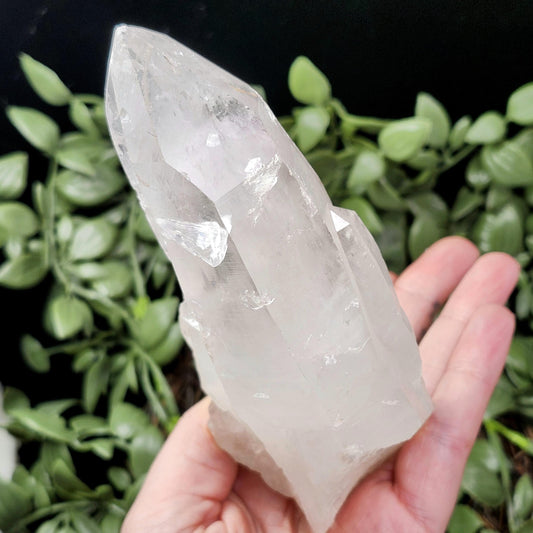 Lemurian Quartz Crystal 411g
