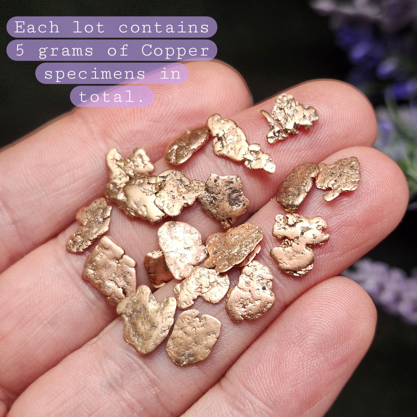 Michigan Copper Nuggets 5g LOT