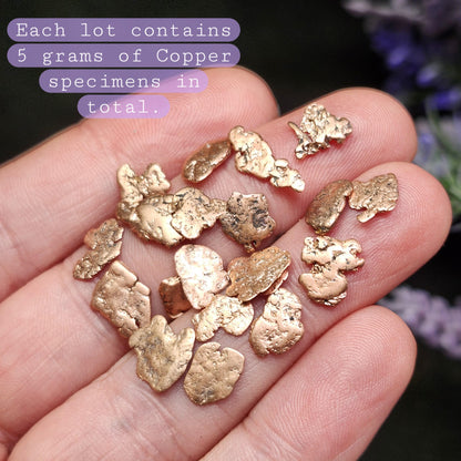 Michigan Copper Nuggets 5g LOT