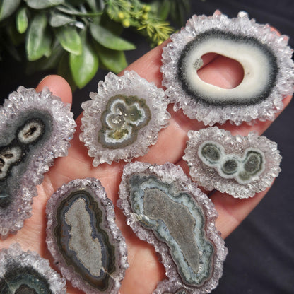 Quartz Stalactite:  Stalactite Slice Crystal