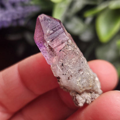 Chibuku Amethyst from Zimbabwe, Shangaan Quartz Crystals, Shangaan Amethyst