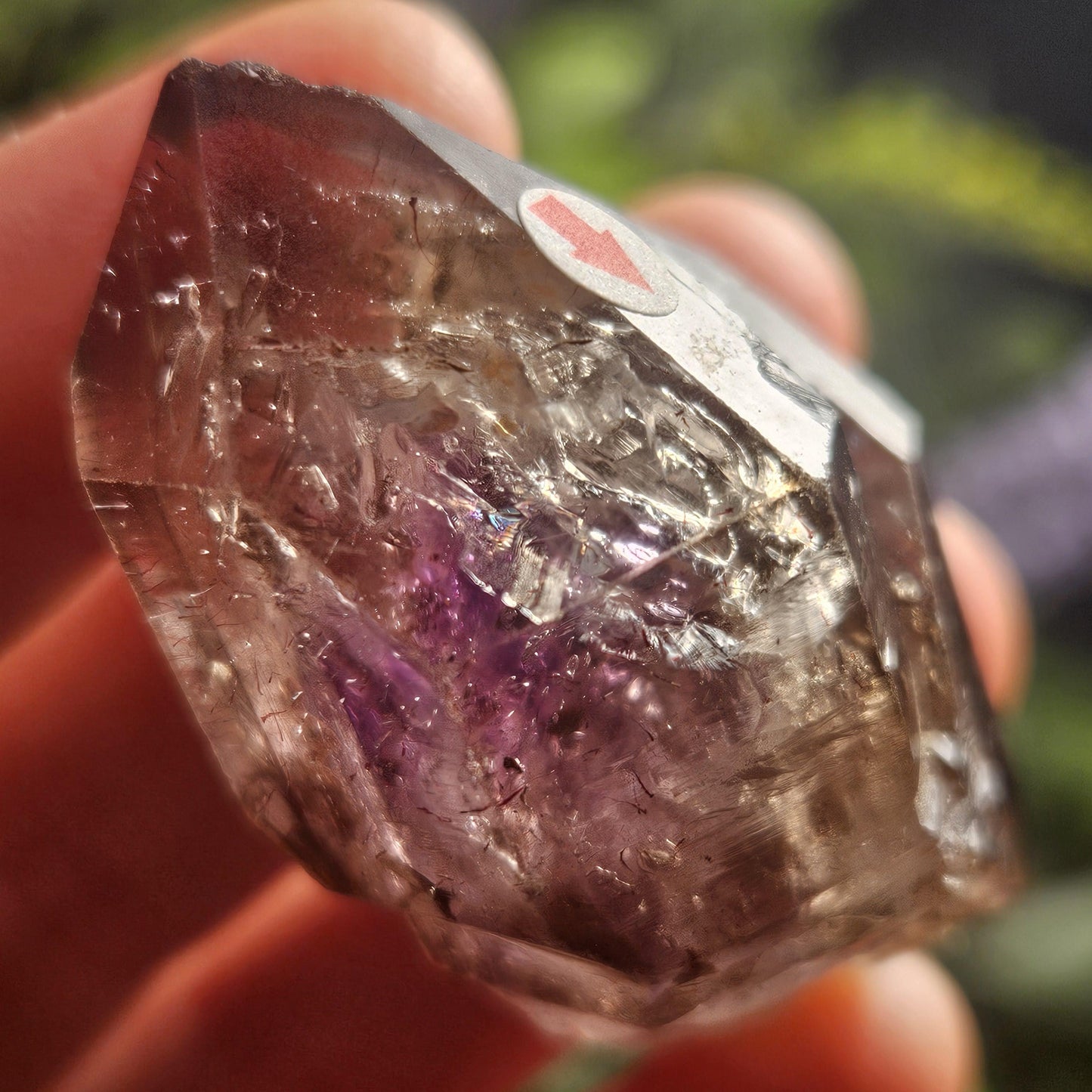 Enhydro Shangaan Amethyst