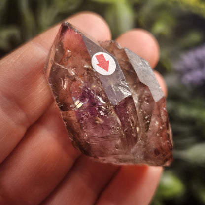 Enhydro Shangaan Amethyst