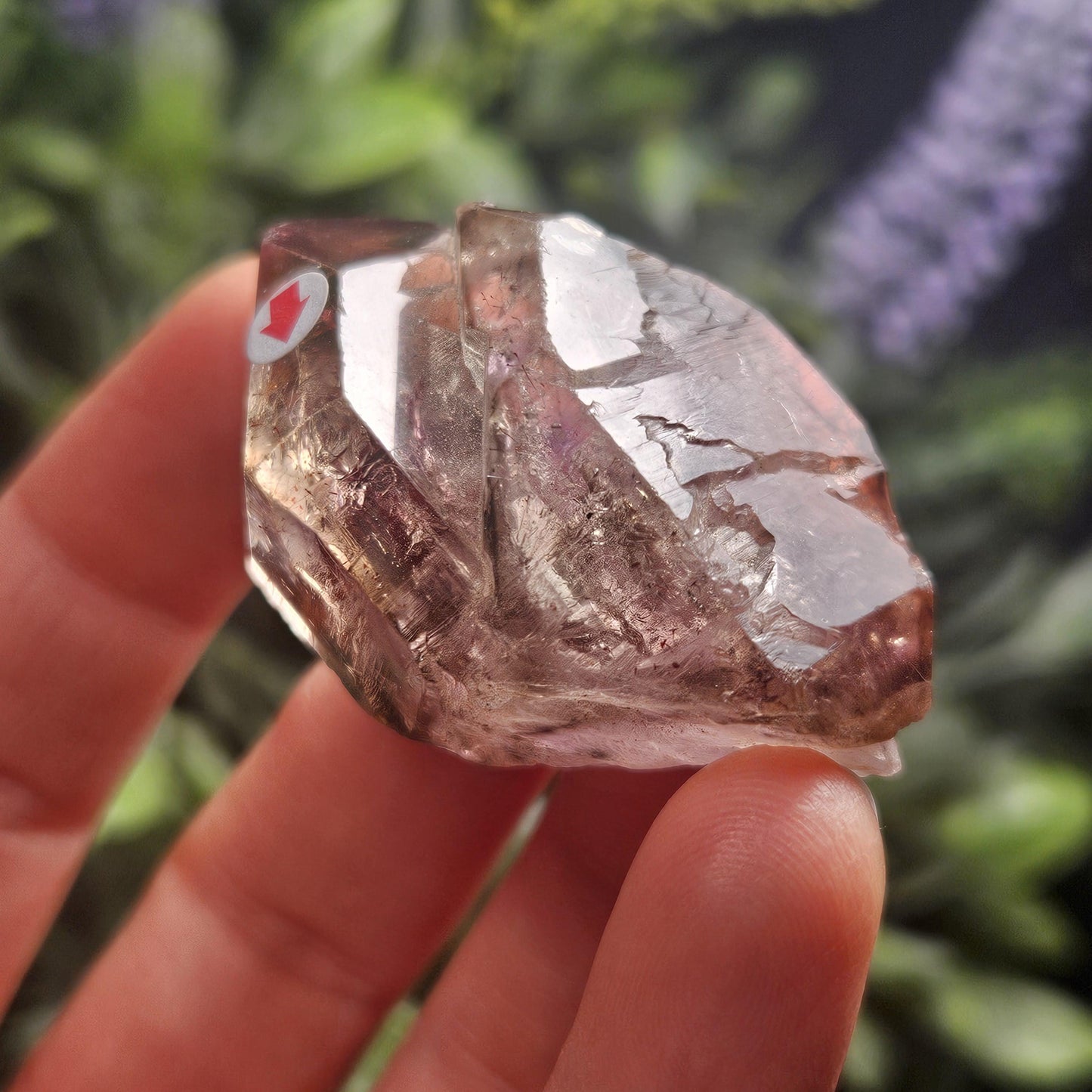 Enhydro Shangaan Amethyst