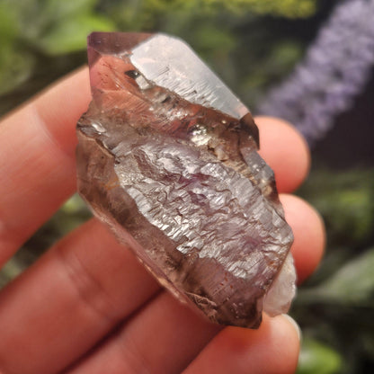 Enhydro Shangaan Amethyst