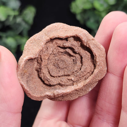 Moroccan Sand Concretion