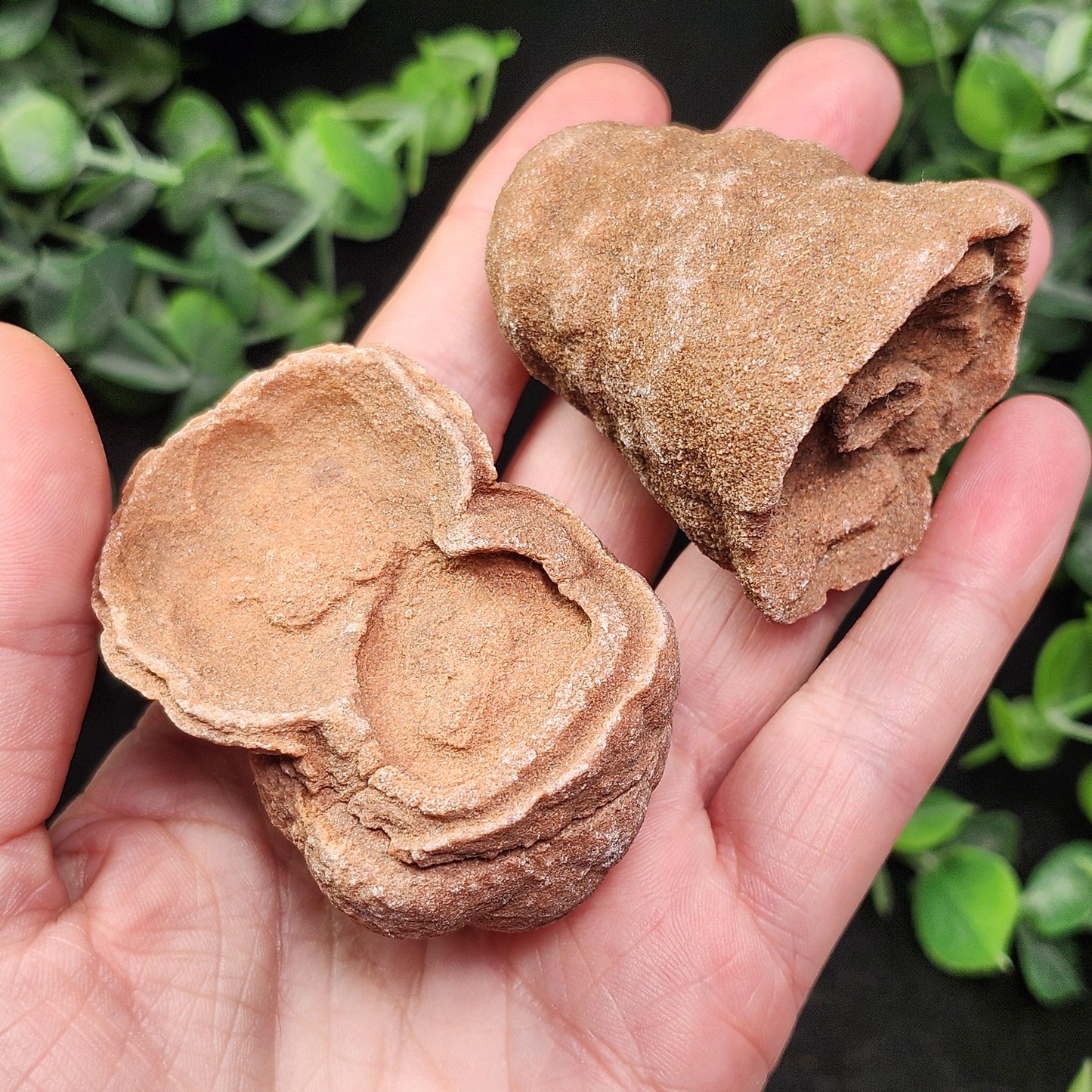 Moroccan Sand Concretion