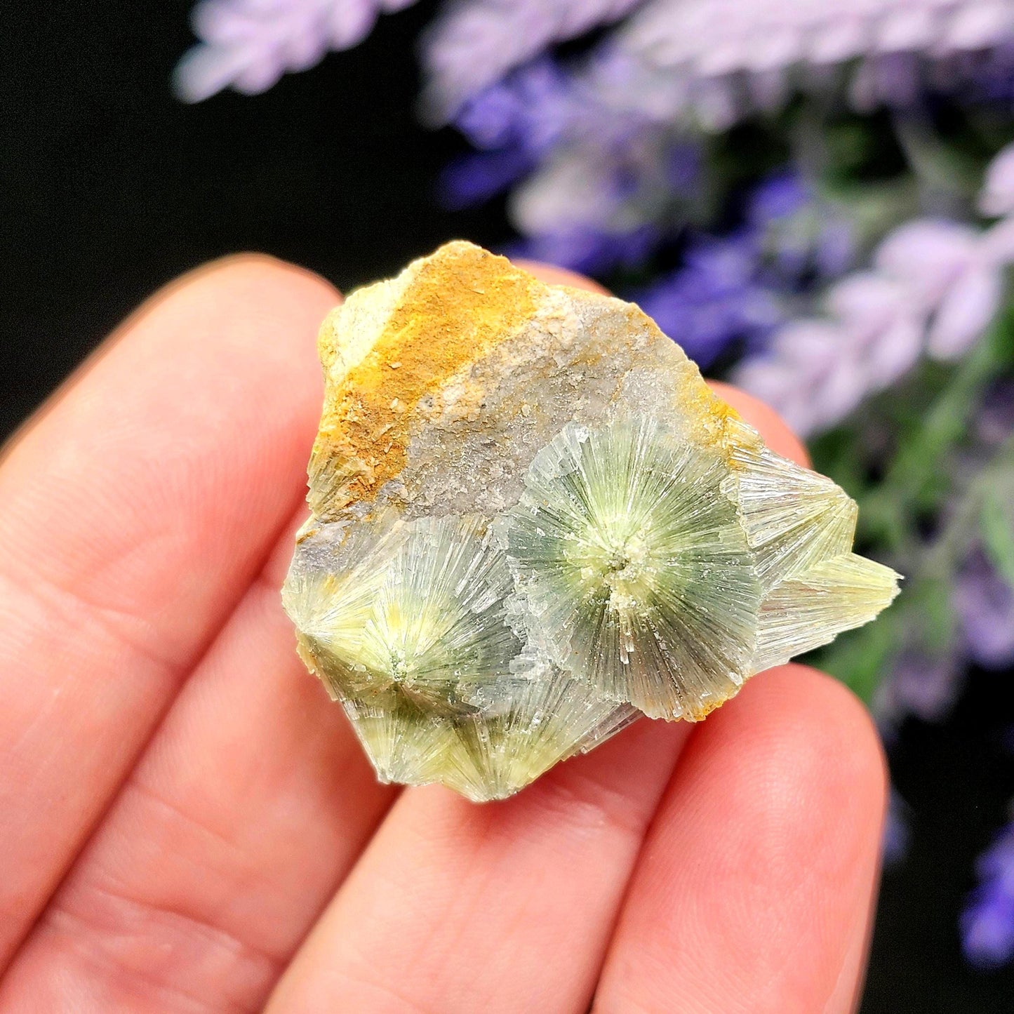 Wavellite Radial Crystal Specimen