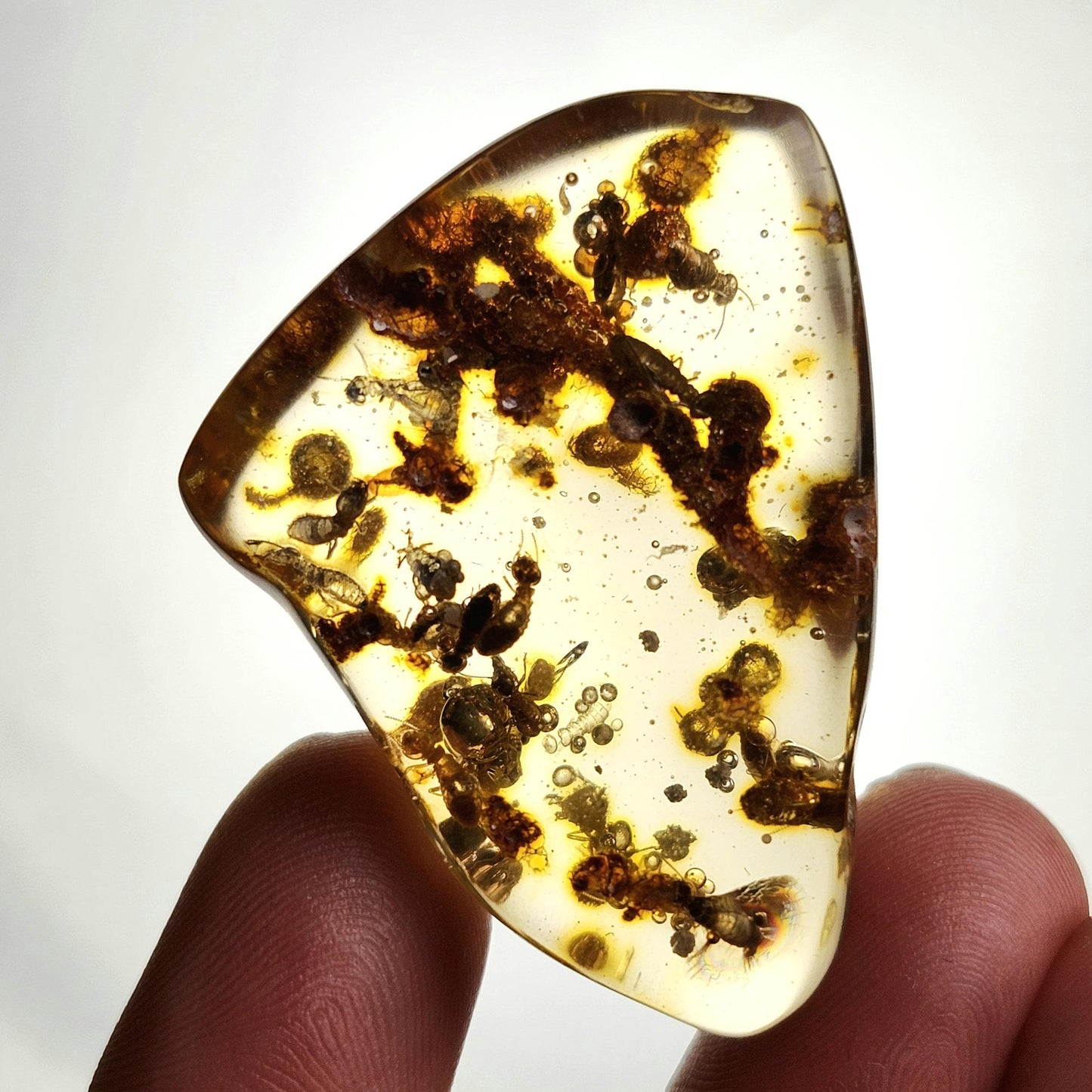 MOVING Enhydro AMBER with Bugs 11g