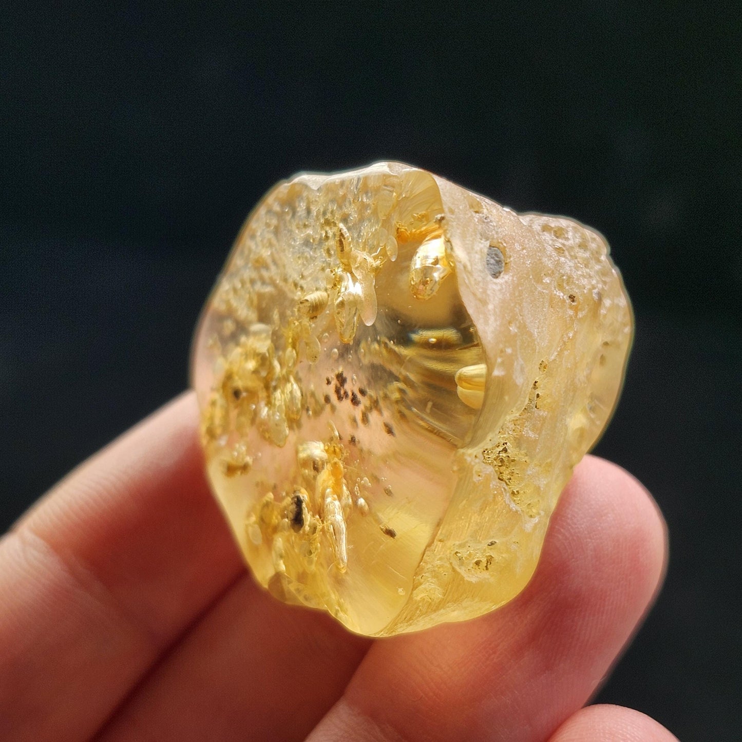 Amber with Termites/Bugs & Static ENHYDRO 10.4g