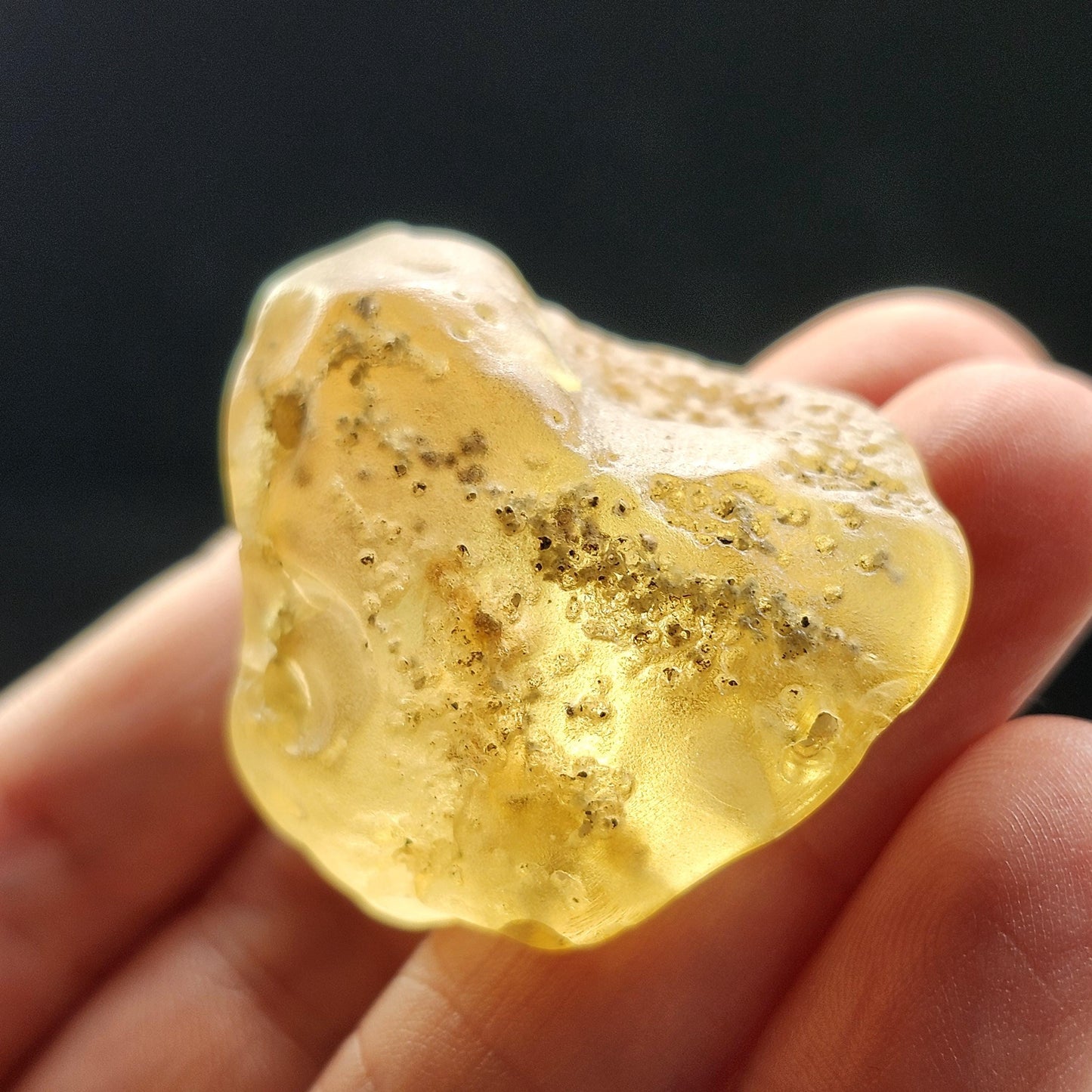 Amber with Termites/Bugs & Static ENHYDRO 10.4g