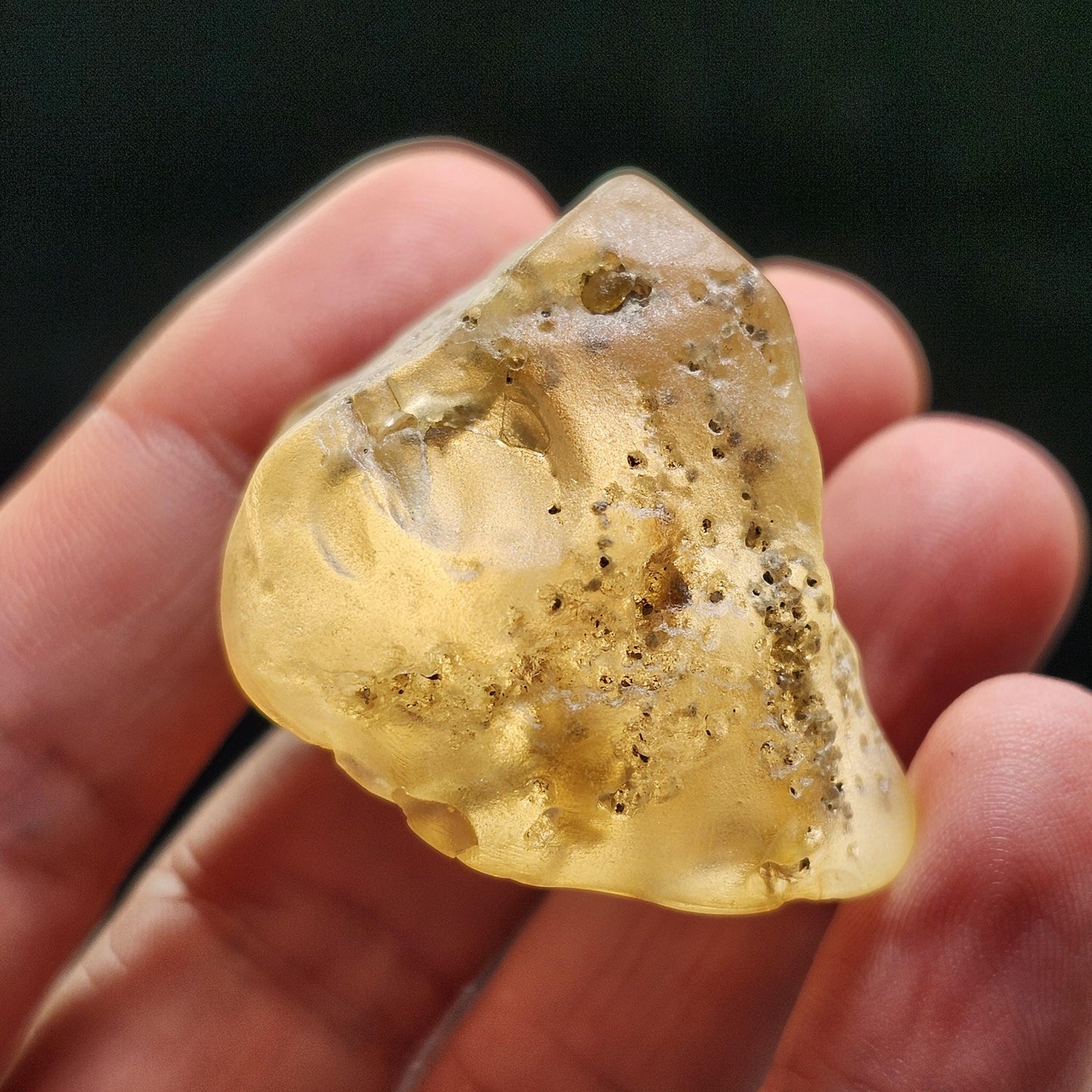 Amber with Termites/Bugs & Static ENHYDRO 10.4g