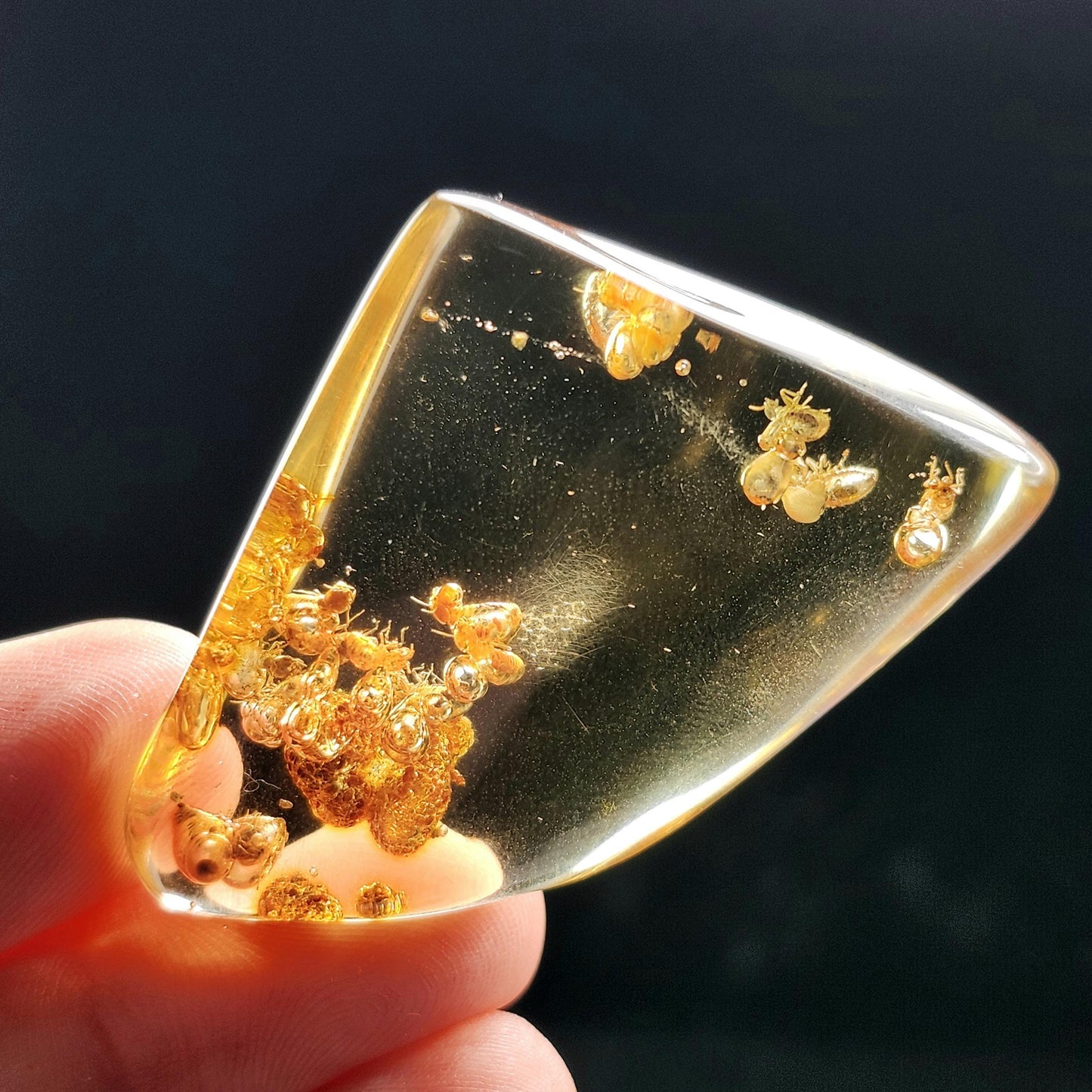 Amber with Bugs & Static ENHYDRO 10.5g