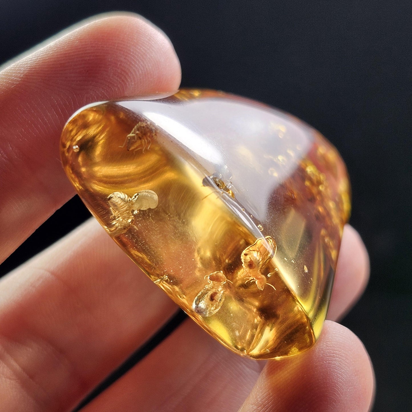 Amber with Bugs & Static ENHYDRO 10.5g