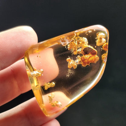 Amber with Bugs & Static ENHYDRO 10.5g