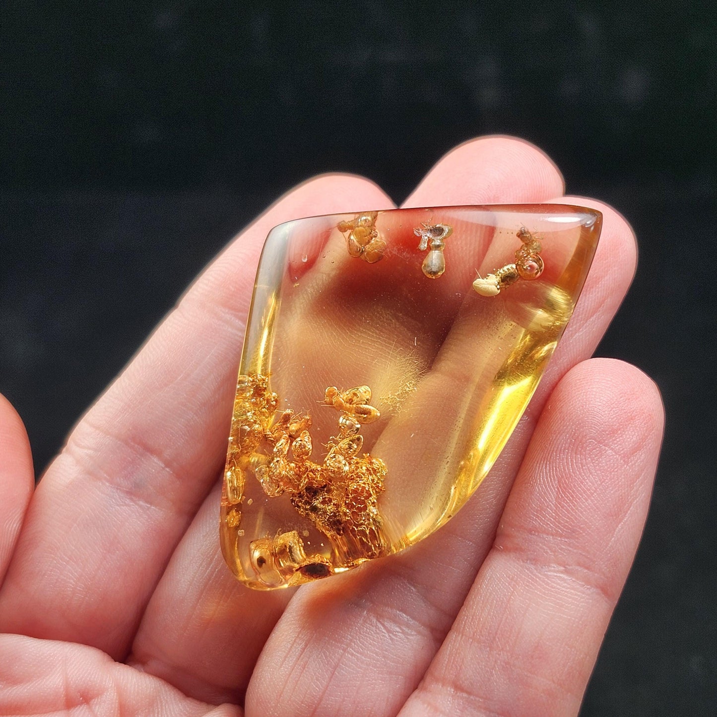 Amber with Bugs & Static ENHYDRO 10.5g