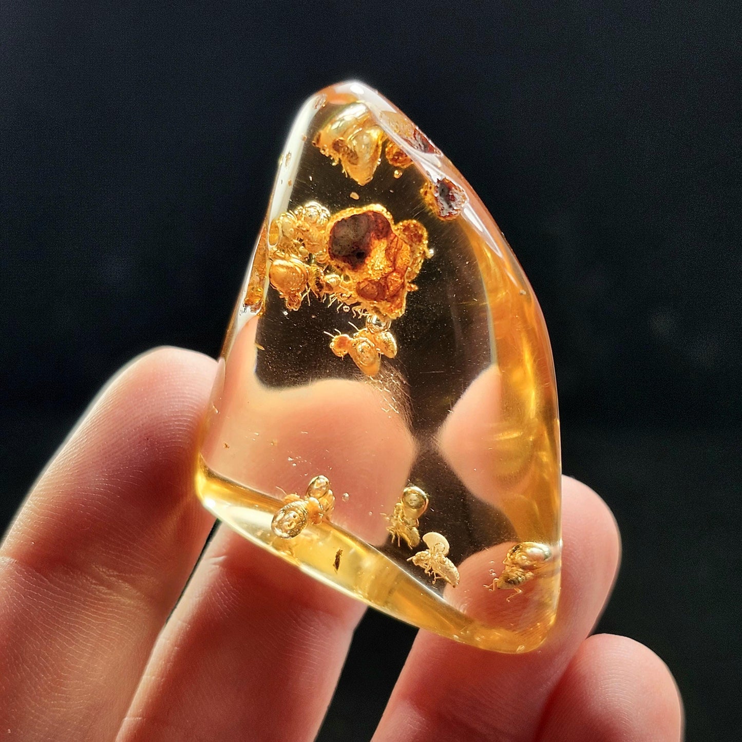 Amber with Bugs & Static ENHYDRO 10.5g