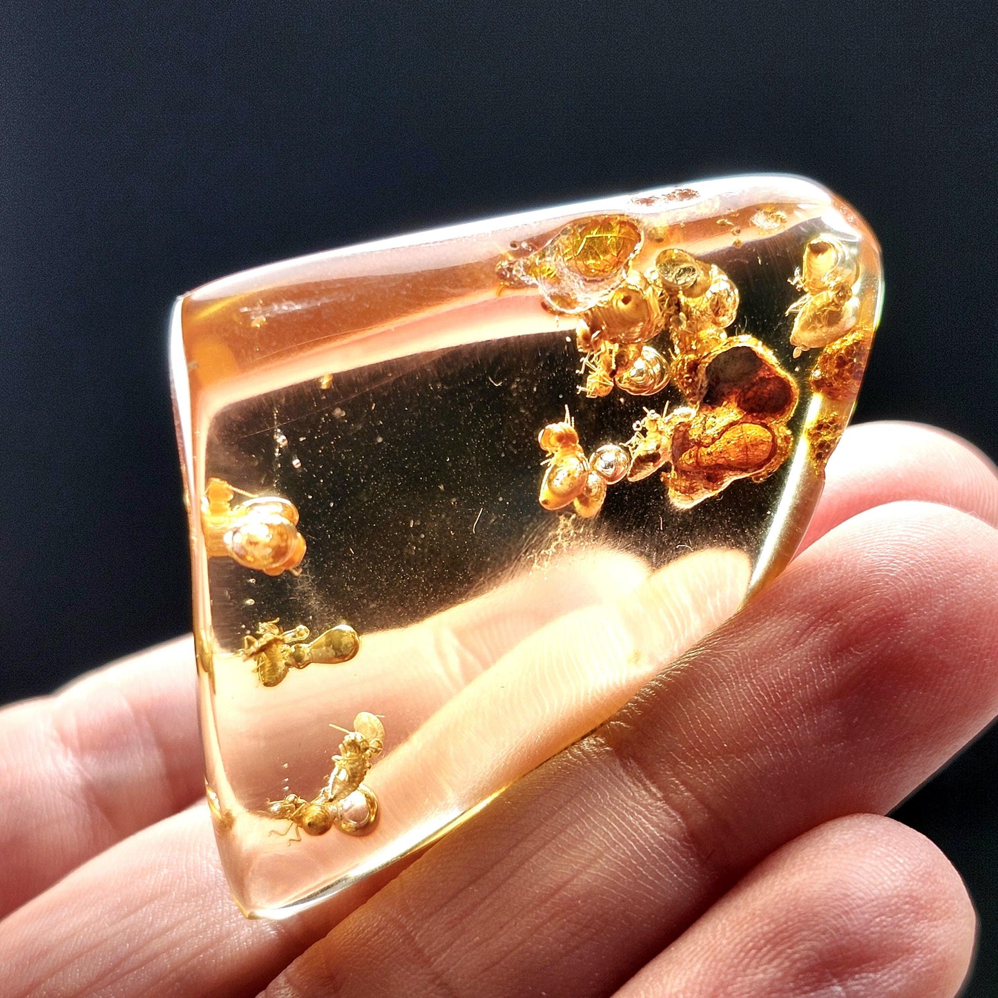 Amber with Bugs & Static ENHYDRO 10.5g