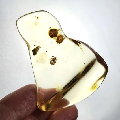 Amber with Bugs & Static ENHYDRO 11.5g