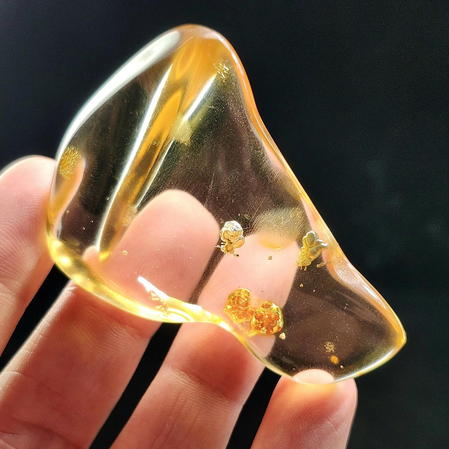 Amber with Bugs & Static ENHYDRO 11.5g