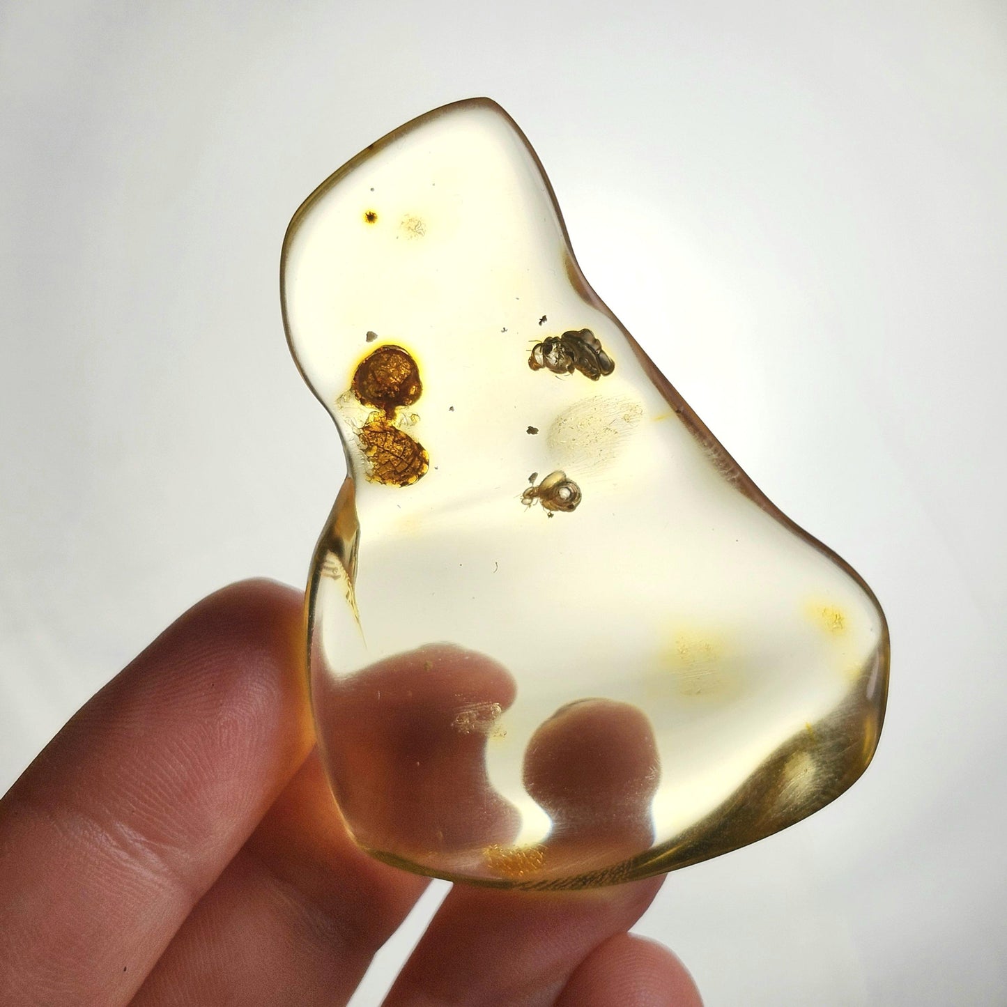 Amber with Bugs & Static ENHYDRO 11.5g