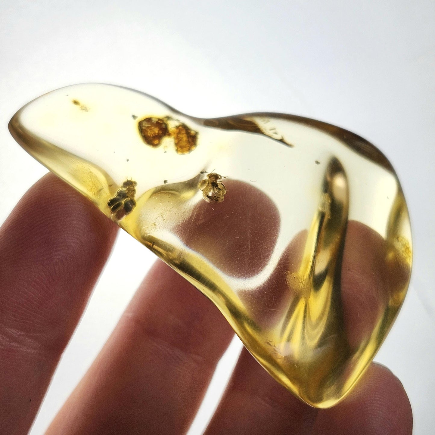 Amber with Bugs & Static ENHYDRO 11.5g