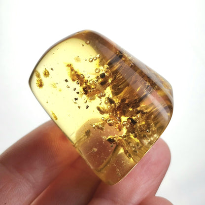 Amber with Termites & Static Enhydro Bubbles 12.8g