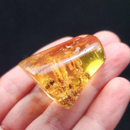 Amber with Termites & Static Enhydro Bubbles 12.8g
