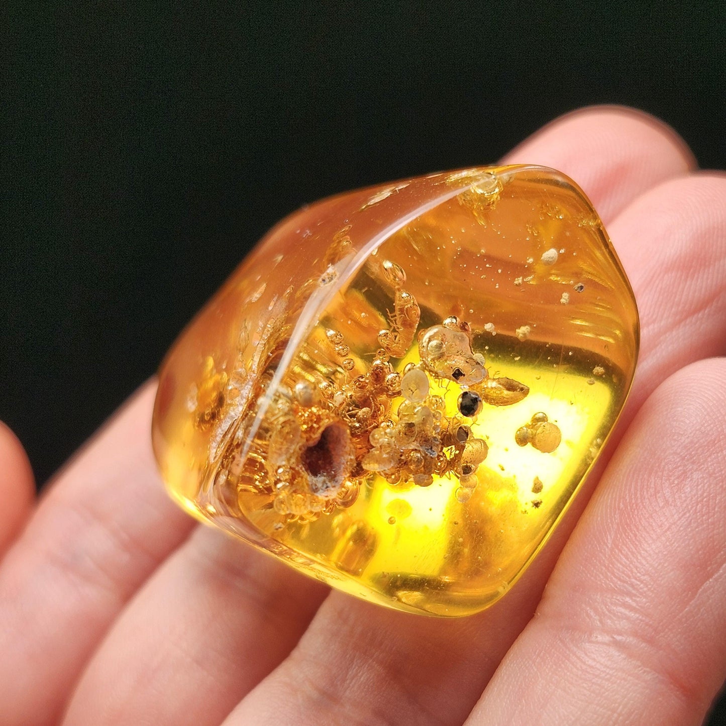 Amber with Termites & Static Enhydro Bubbles 12.8g